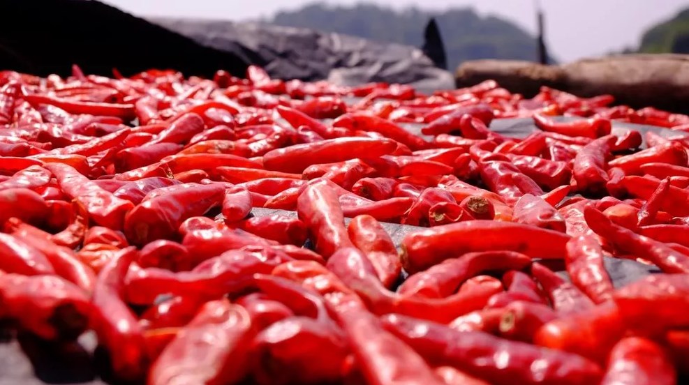 «Συναγερμός» για το παιχνίδι «chili pepper»