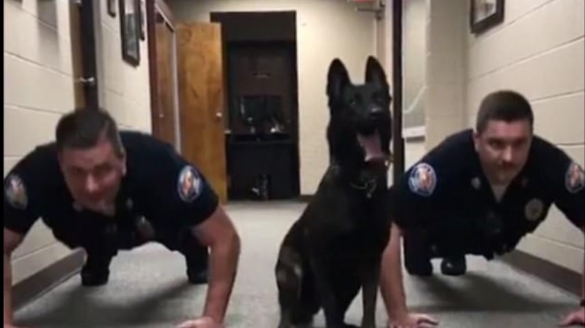 Απίθανος σκύλος της αστυνομίας κάνει push ups μαζί με… τους συναδέλφους του! – ΒΙΝΤΕΟ