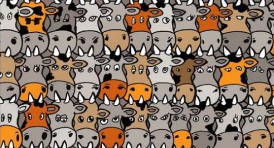 Μόνο για παρατηρητικούς: Θα καταφέρετε να βρείτε τον σκύλο; – ΦΩΤΟ