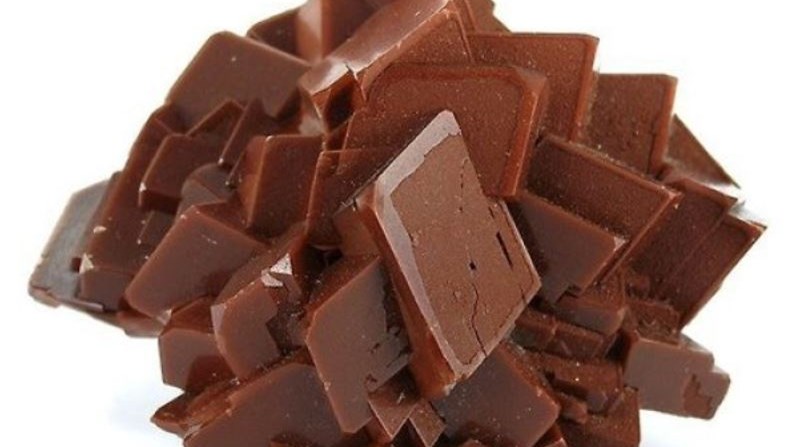 Βλέπεις παντού φαγητό; Δες καλύτερα – ΦΩΤΟ