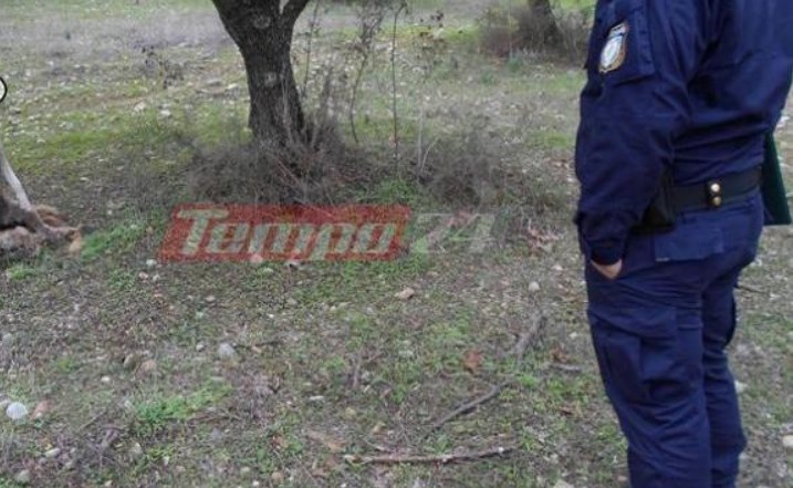 Ανθρωπόμορφα κτήνη βασάνισαν και κρέμασαν σκύλο από μια ελιά – ΠΡΟΣΟΧΗ: Σκληρές εικόνες