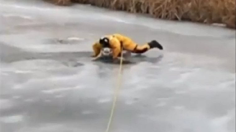 Καρέ-καρέ η δραματική διάσωση σκύλου από παγωμένη λίμνη – ΒΙΝΤΕΟ