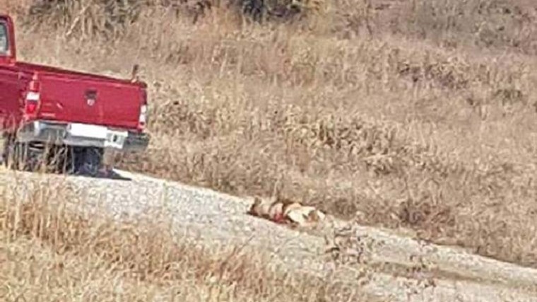 Συνελήφθη οδηγός που έδεσε σκύλο πίσω από το αγροτικό του – ΦΩΤΟ