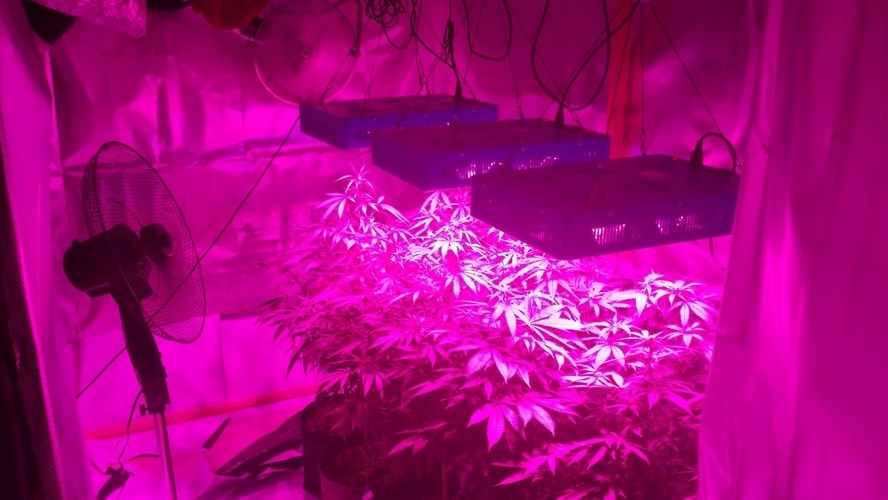 Δείτε τι έκρυβε στη ντουλάπα του ένας 26χρονος – ΒΙΝΤΕΟ