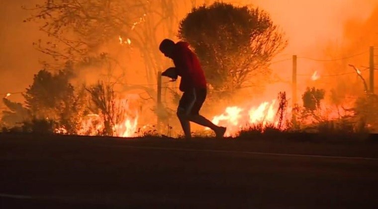 Άνδρας προσπαθεί να σώσει λαγό από την πυρκαγιά