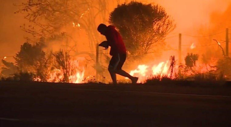 Άνδρας προσπαθεί να σώσει λαγό από την πυρκαγιά