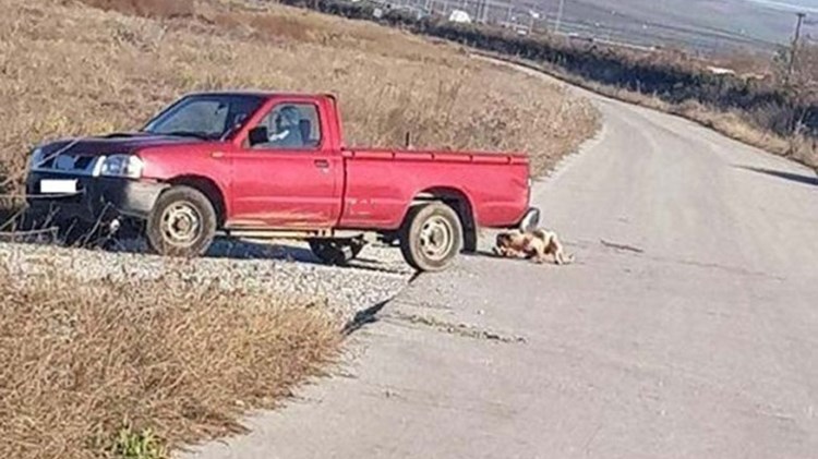 Παραδειγματική τιμωρία στον οδηγό που έδεσε σκύλο πίσω από το αγροτικό του