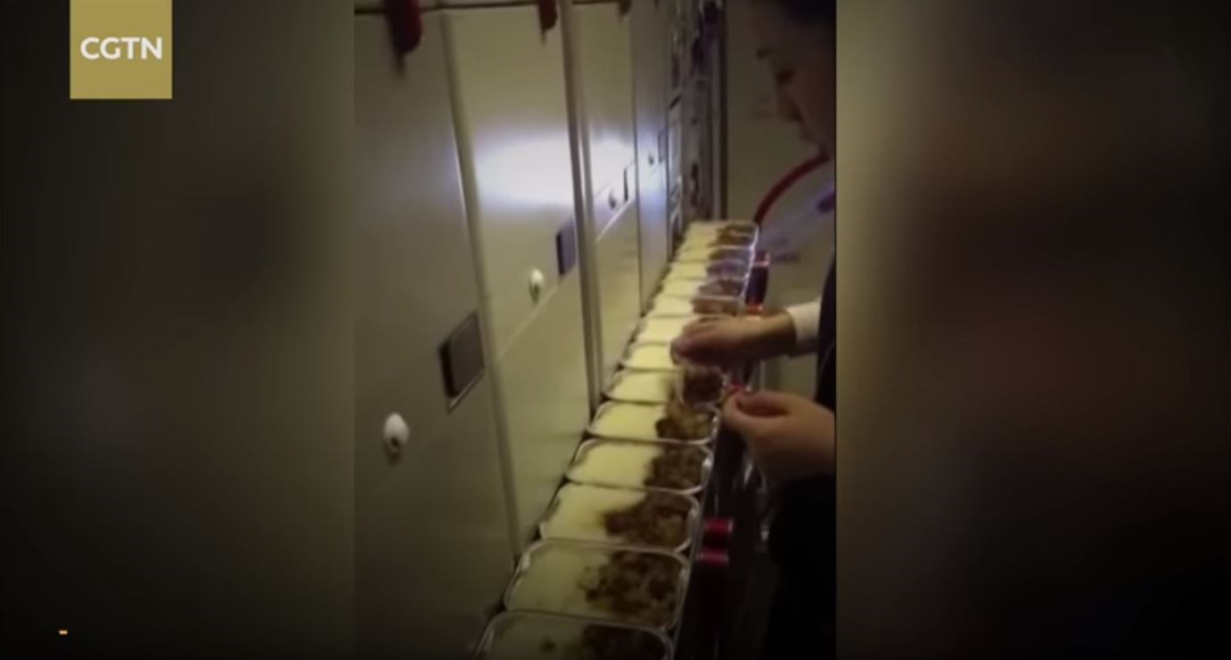 Αεροσυνοδός τρώει τα αποφάγια των επιβατών – ΒΙΝΤΕΟ