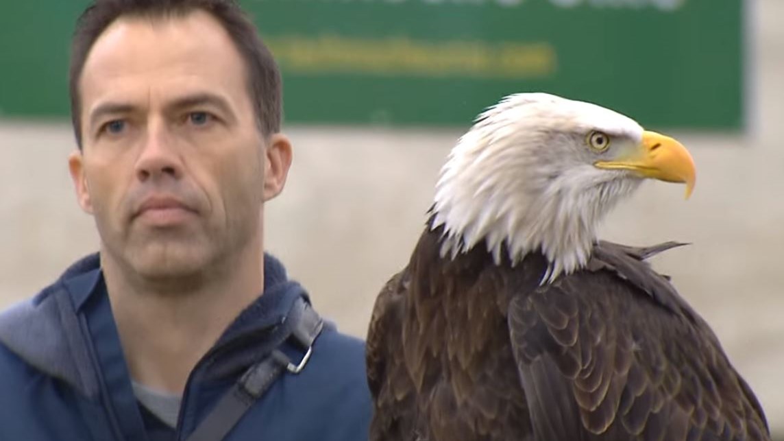 Γιατί η αστυνομία απέλυσε τους αετούς και τους…αρουραίους της – ΒΙΝΤΕΟ