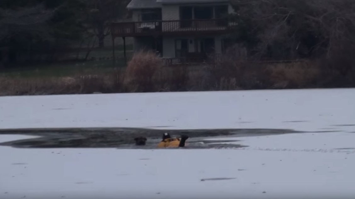 Η δραματική διάσωση ενός σκύλου και του ιδιοκτήτη του από παγωμένη λίμνη – ΒΙΝΤΕΟ