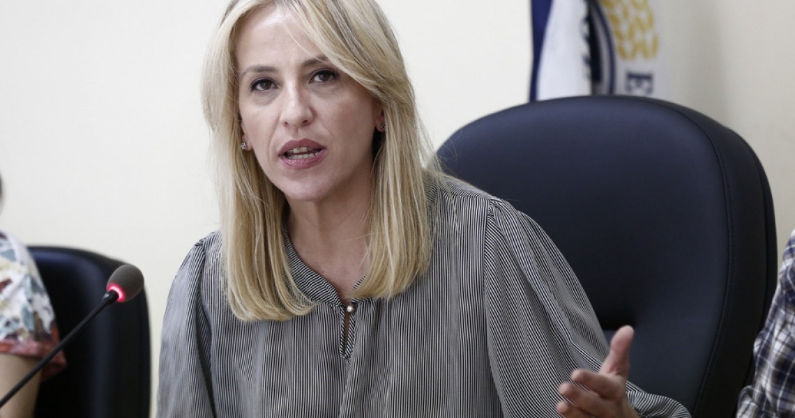 Δούρου: Συγκρουστήκαμε με δημάρχους επειδή προκρίναμε αντιπλημμυρικά έργα