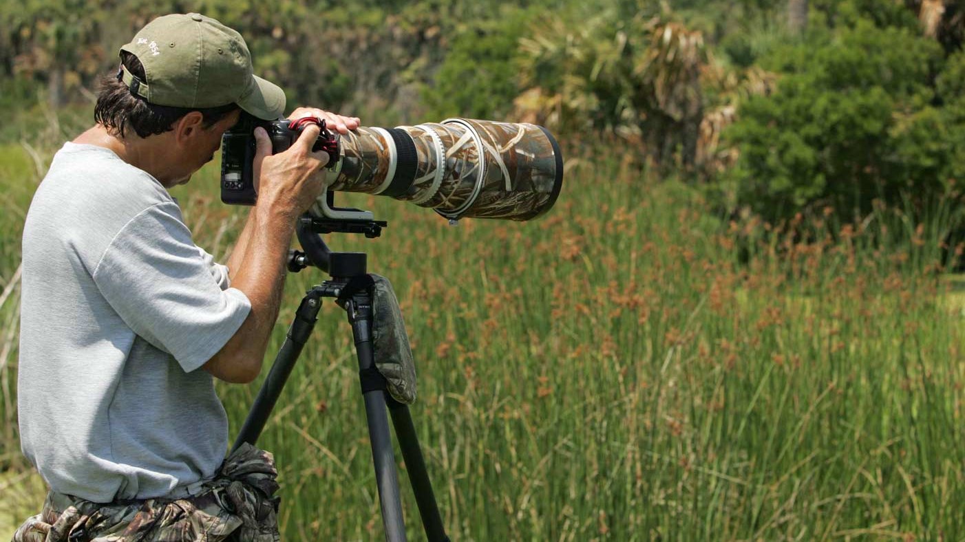 Αυτή η φωτογραφία βραβεύτηκε ως η πιο αστεία στην άγρια φύση για το 2017- ΦΩΤΟ
