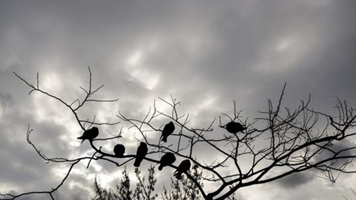 Κατρακυλά ο υδράργυρος σήμερα – Που θα χιονίσει τις επόμενες ώρες