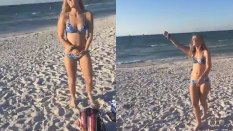 Έμαθε με τον δύσκολο τρόπο ότι δεν πρέπει να ταϊζει τους γλάρους – ΒΙΝΤΕΟ