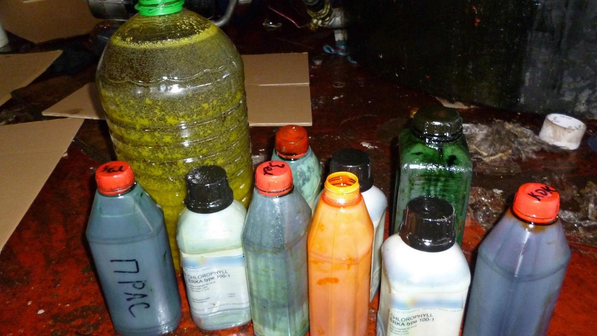 Πατέρας και γιος είχαν στήσει ολόκληρη επιχείρηση εμπορίας νοθευμένου λαδιού – ΒΙΝΤΕΟ – ΦΩΤΟ