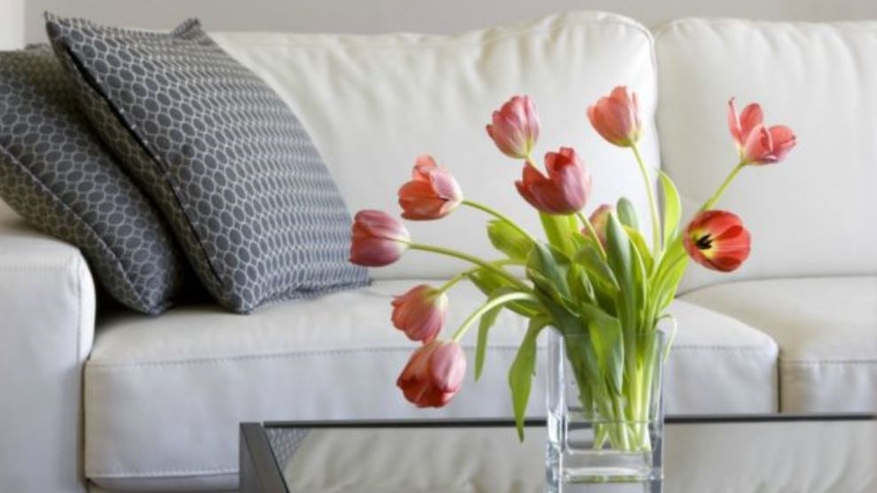 Αυτά ξεχνούν να καθαρίσουν ακόμη και οι μανιακοί με την καθαριότητα