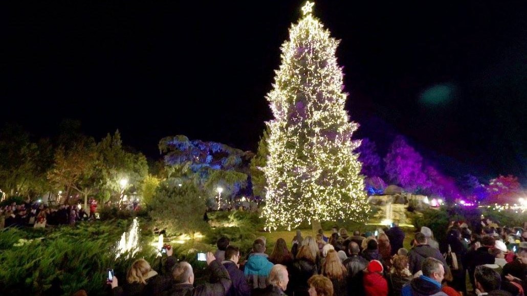 Επίκεντρο των Χριστουγέννων η Κατερίνη – Άνοιξε το εντυπωσιακό Πάρκο των Χρωμάτων – ΦΩΤΟ – ΒΙΝΤΕΟ