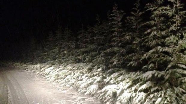 Στα λευκά το ντύθηκε το Πήλιο – Στους 40 πόντους στο χιονοδρομικό