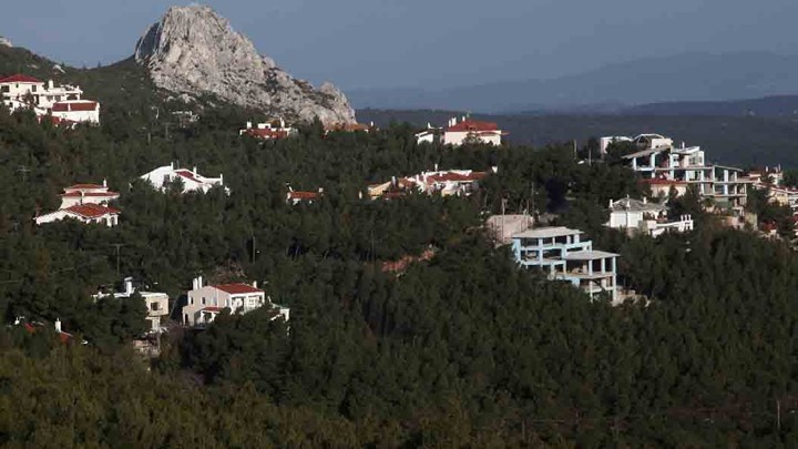 Νέοι δασικοί χάρτες θα αναρτηθούν τον Ιανουάριο – Τι πρέπει να κάνουν οι ιδιοκτήτες γης