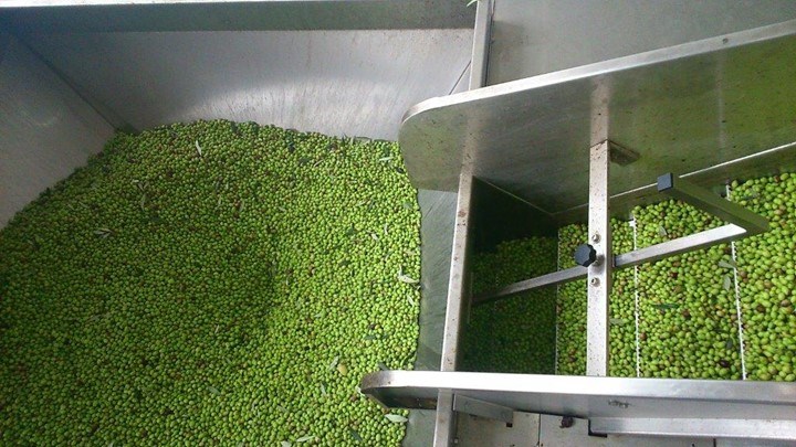 “Λουκέτα” σε τρία ελαιοτριβεία έβαλε η ΑΑΔΕ