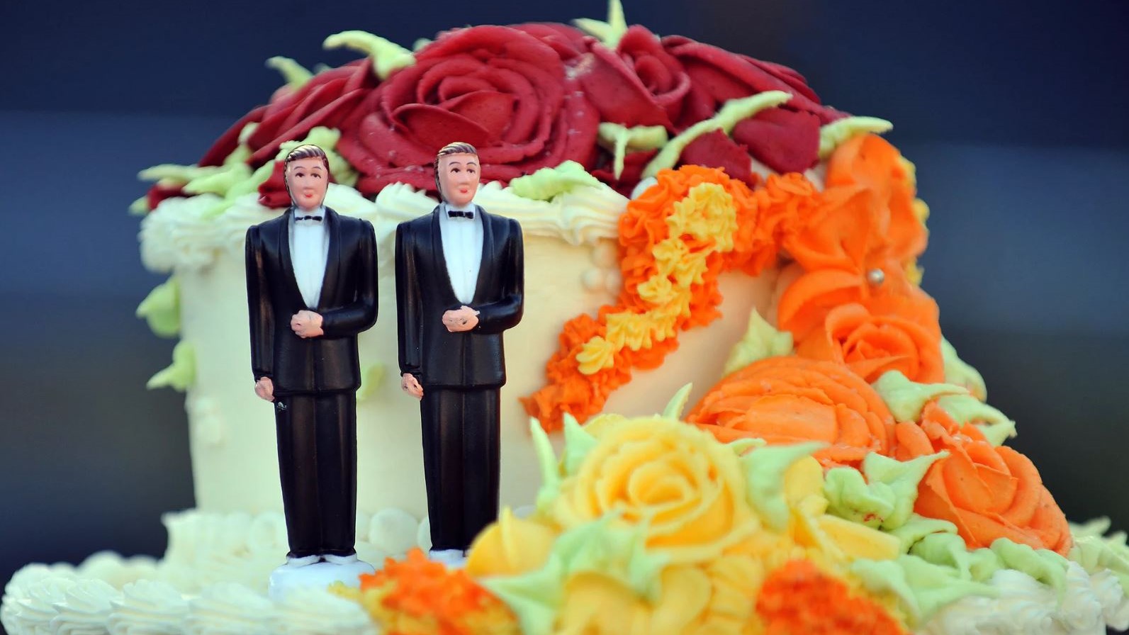 Δύο ετεροφυλόφιλοι άνδρες παντρεύτηκαν για να γλιτώσουν από την εφορία- ΒΙΝΤΕΟ