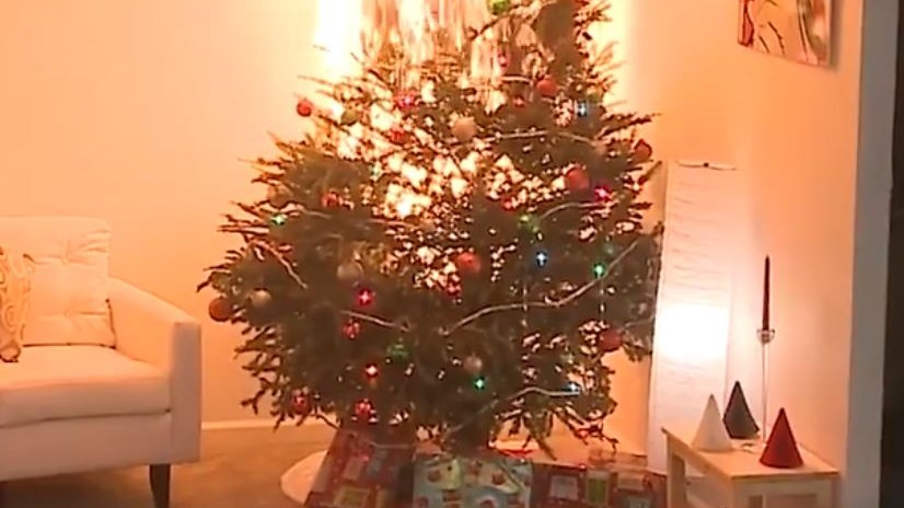 Δείτε πώς ένα χριστουγεννιάτικο δέντρο γίνεται παρανάλωμα του πυρός μέσα σε λίγα δευτερόλεπτα- ΒΙΝΤΕΟ