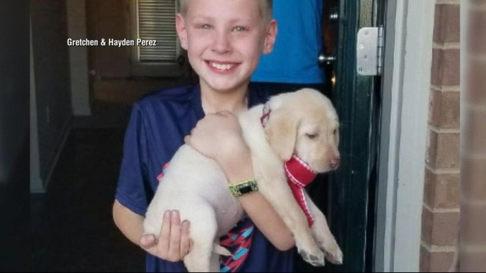 Η συγκίνηση του 9χρονου που έλαβε για δώρο ένα κουταβάκι – ΒΙΝΤΕΟ