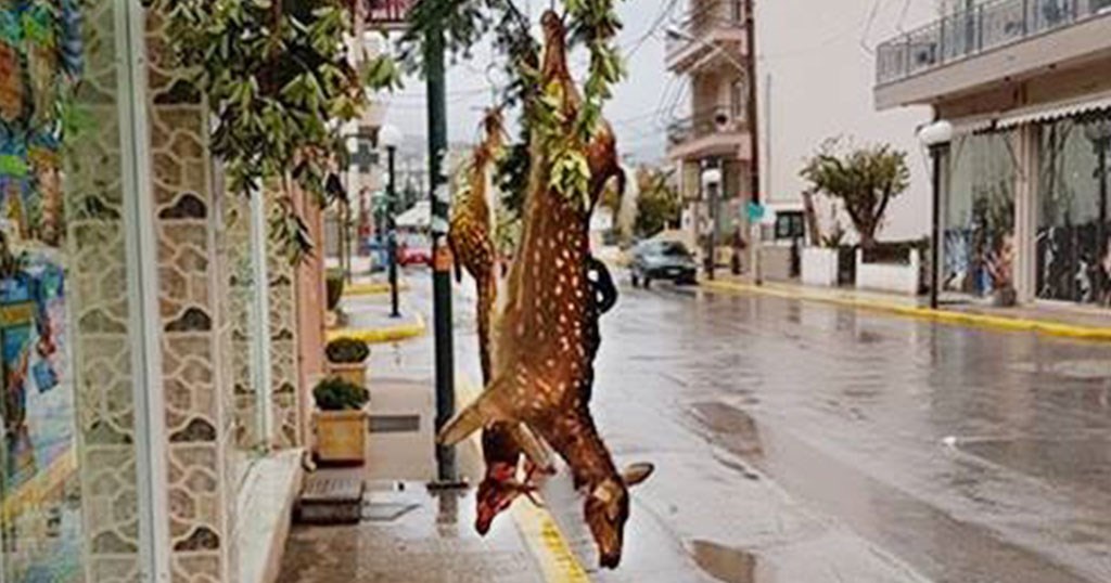 Σάλος για τη φωτογραφία από κρεοπωλείο με δύο κρεμασμένα ελάφια – Τι απαντά ο ιδιοκτήτης