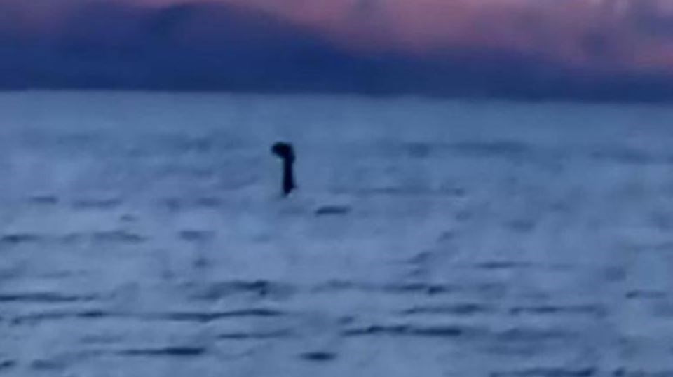 Είναι δυνατόν; Το τέρας του Λοχ Νες στην… Μεγάλη Πρέσπα; – ΒΙΝΤΕΟ