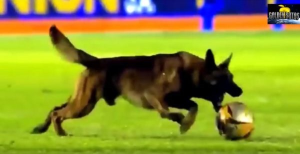 Αυτές είναι οι πιο αστείες στιγμές στο ποδόσφαιρο για το 2017 – ΒΙΝΤΕΟ