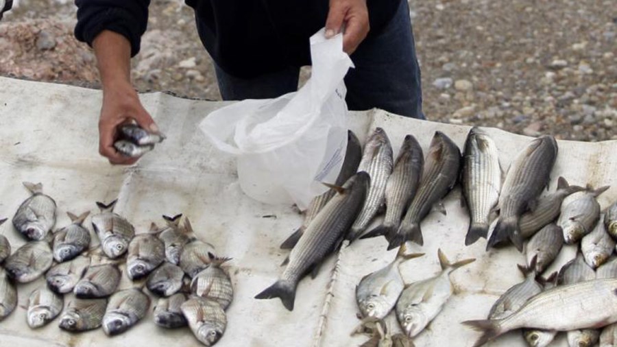 Ανω κάτω η Σκόπελος – Ο ψαράς, οι ελεγκτές και το κυνήγι για…την πλαστική σακούλα