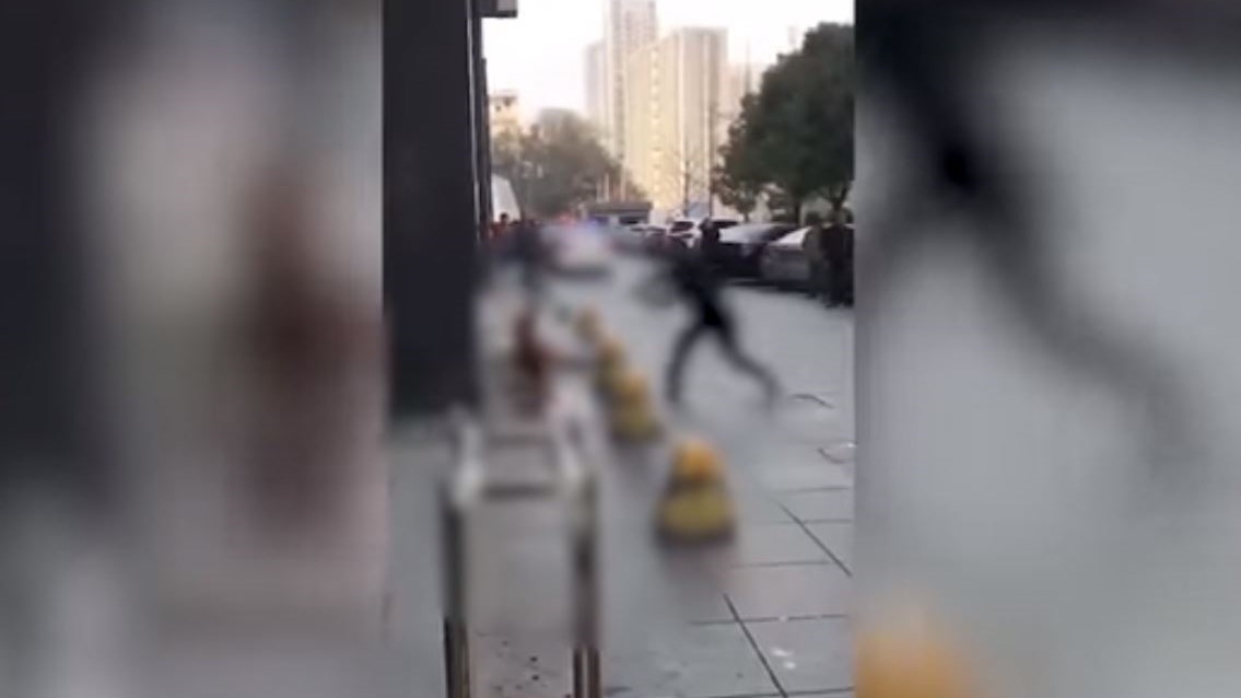 Φρίκη: Αστυνομικός χτυπά σκύλο μέχρι θανάτου – ΒΙΝΤΕΟ