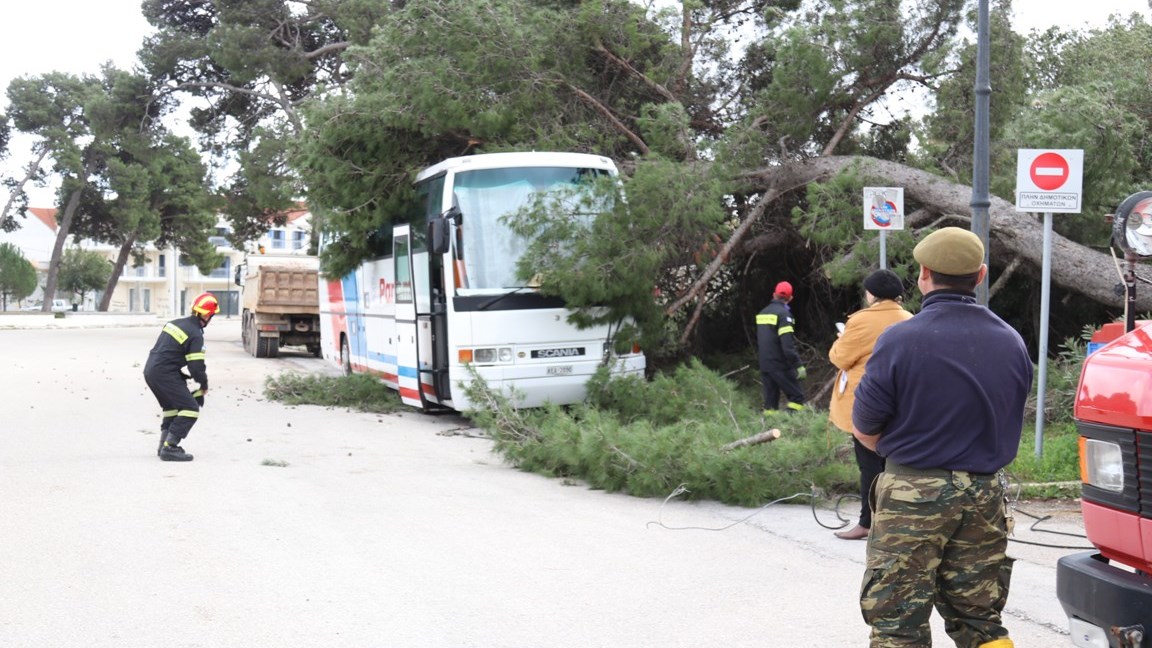 Πεύκο καταπλάκωσε λεωφορείο στην Κεφαλονιά – ΦΩΤΟ