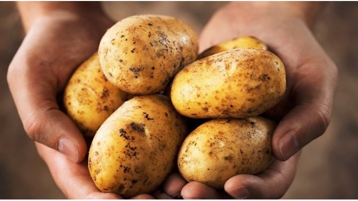 Πώς να καθαρίσετε ένα τσουβάλι πατάτες μέσα σε… 37 δευτερόλεπτα! – ΒΙΝΤΕΟ