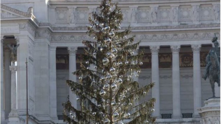 Το “μαδημένο” δέντρο της Ρώμης βρήκε…τη θέση του