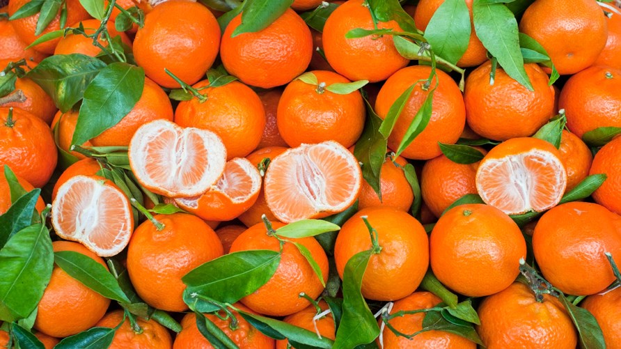 Δεν ξανάγινε – Έκλεψαν 2 τόνους μανταρίνια – ΒΙΝΤΕΟ