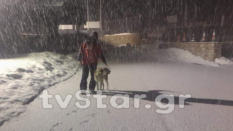 Δείτε εικόνες από την έντονη χιονόπτωση στον Παρνασσό – ΦΩΤΟ ΚΑΙ ΒΙΝΤΕΟ