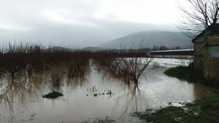 Πλημμύρισαν καλλιέργειες και κτηνοτροφικές μονάδες στη Λάρισα – ΦΩΤΟ