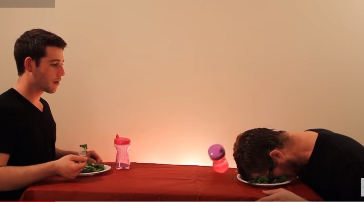 Διαχρονικό viral – Δείτε πώς τρώνε τα ζώα – ΒΙΝΤΕΟ