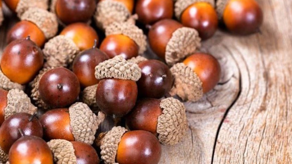 Τα πιο περίεργα πράγματα που φέρνουν γούρι ανά τον κόσμο – ΦΩΤΟ