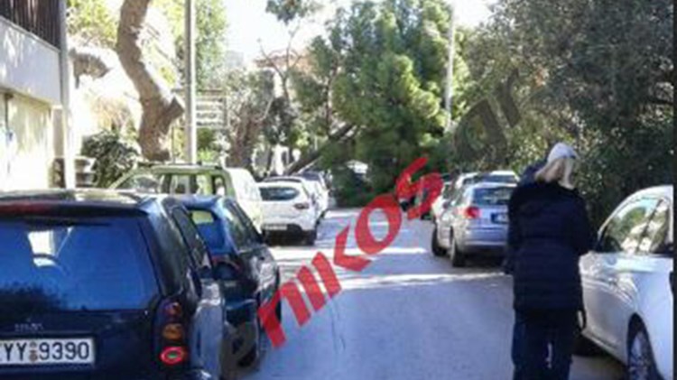 Αναστάτωση στο κέντρο του Χαλανδρίου έπειτα από πτώση δέντρου – ΦΩΤΟ αναγνώστη