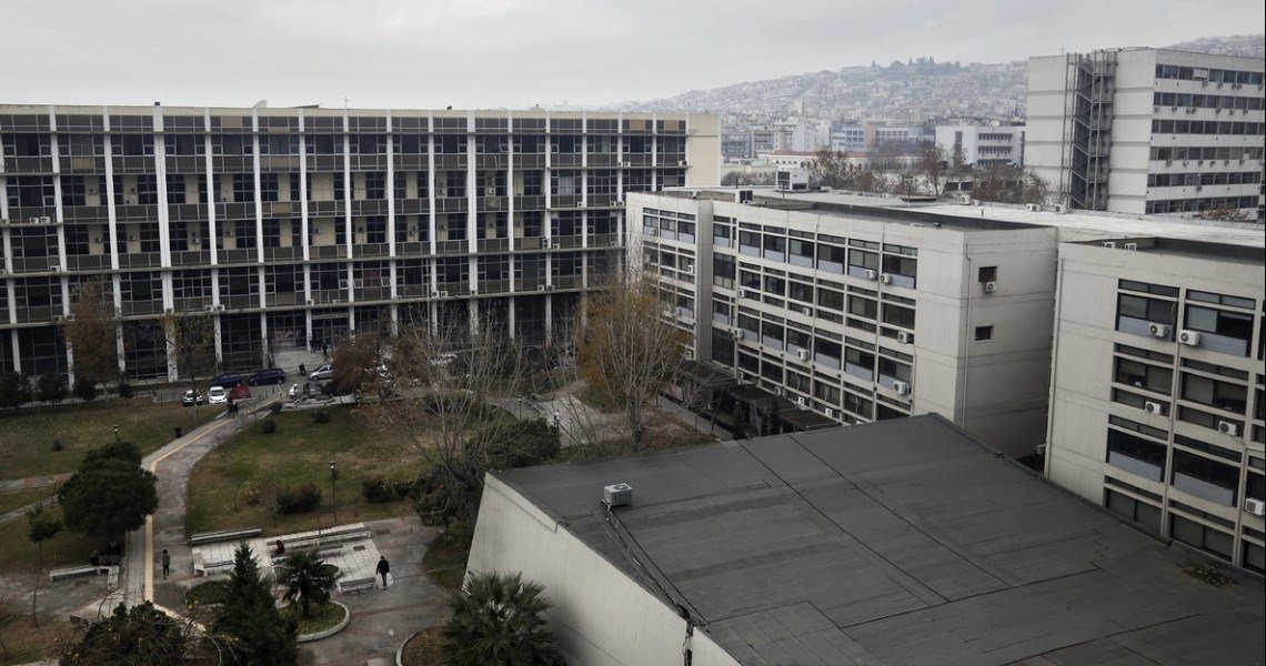 Ποντίκια στο Αριστοτέλειο Πανεπιστήμιο Θεσσαλονίκης