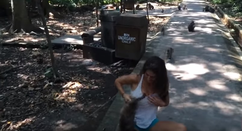 Η… άτακτη μαϊμου, το “χούφτωμα” και ο ζηλιάρης σύζυγος – ΒΙΝΤΕΟ