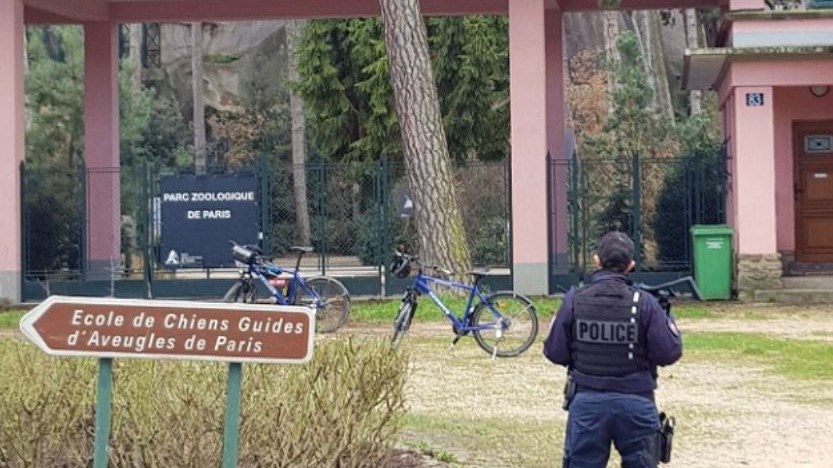 Η μεγάλη απόδραση των… μπαμπουίνων – Εκκενώθηκε ο Ζωολογικός Κήπος του Παρισιού – ΦΩΤΟ