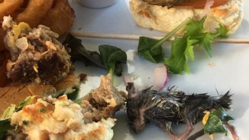 Βρήκε ένα νεκρό ποντίκι μέσα στο μπέργκερ του – ΦΩΤΟ – ΒΙΝΤΕΟ