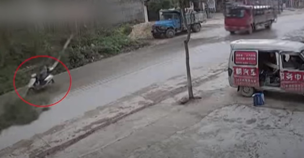 Οδηγός μηχανής είχε… άγιο – Η στιγμή της πτώσης δέντρου ακριβώς μπροστά του – ΒΙΝΤΕΟ