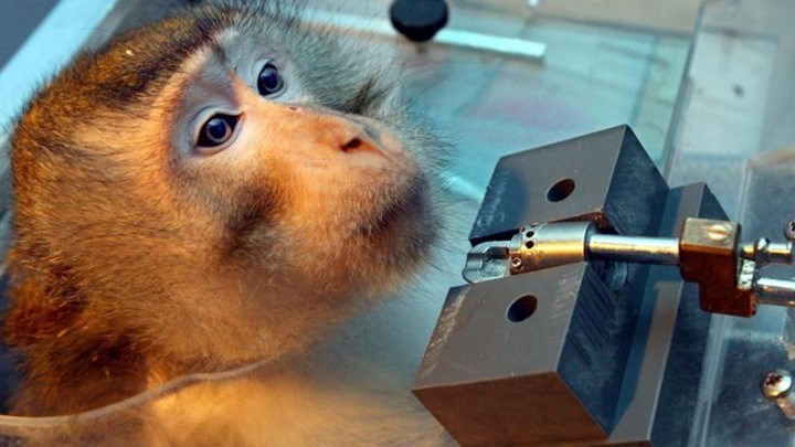 Αυτοκινητοβιομηχανίες: Τι γνώριζε η γερμανική κυβέρνηση για τα επίμαχα πειράματα;