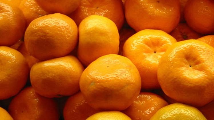 “Φρένο” ελεγκτών σε 10 τόνους φρούτων στου Ρέντη- Τι διαπίστωσαν