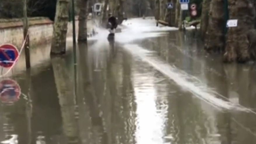 Το Παρίσι έπαθε…Βενετία – Ακόμα και θαλάσσια σπορ κάνουν οι κάτοικοι στους πλημμυρισμένους δρόμους – ΒΙΝΤΕΟ