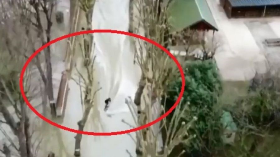 Έκαναν θαλάσσια σπορ στους πλημμυρισμένους δρόμους της Γαλλίας – ΒΙΝΤΕΟ